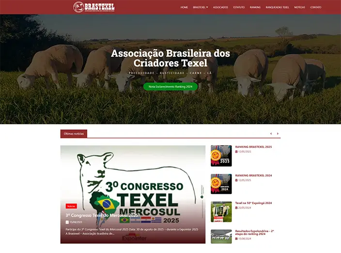 Capa do projeto Brastexel